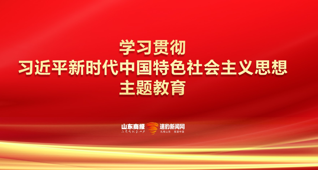魯商集團：做好“結合”文章，多層次立體化推動主題教育走深走實